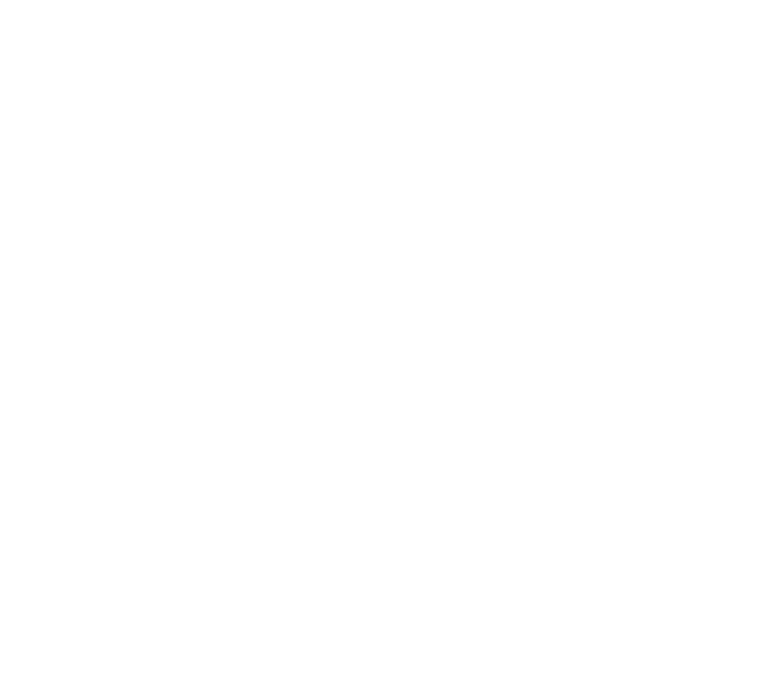 D1337 logo